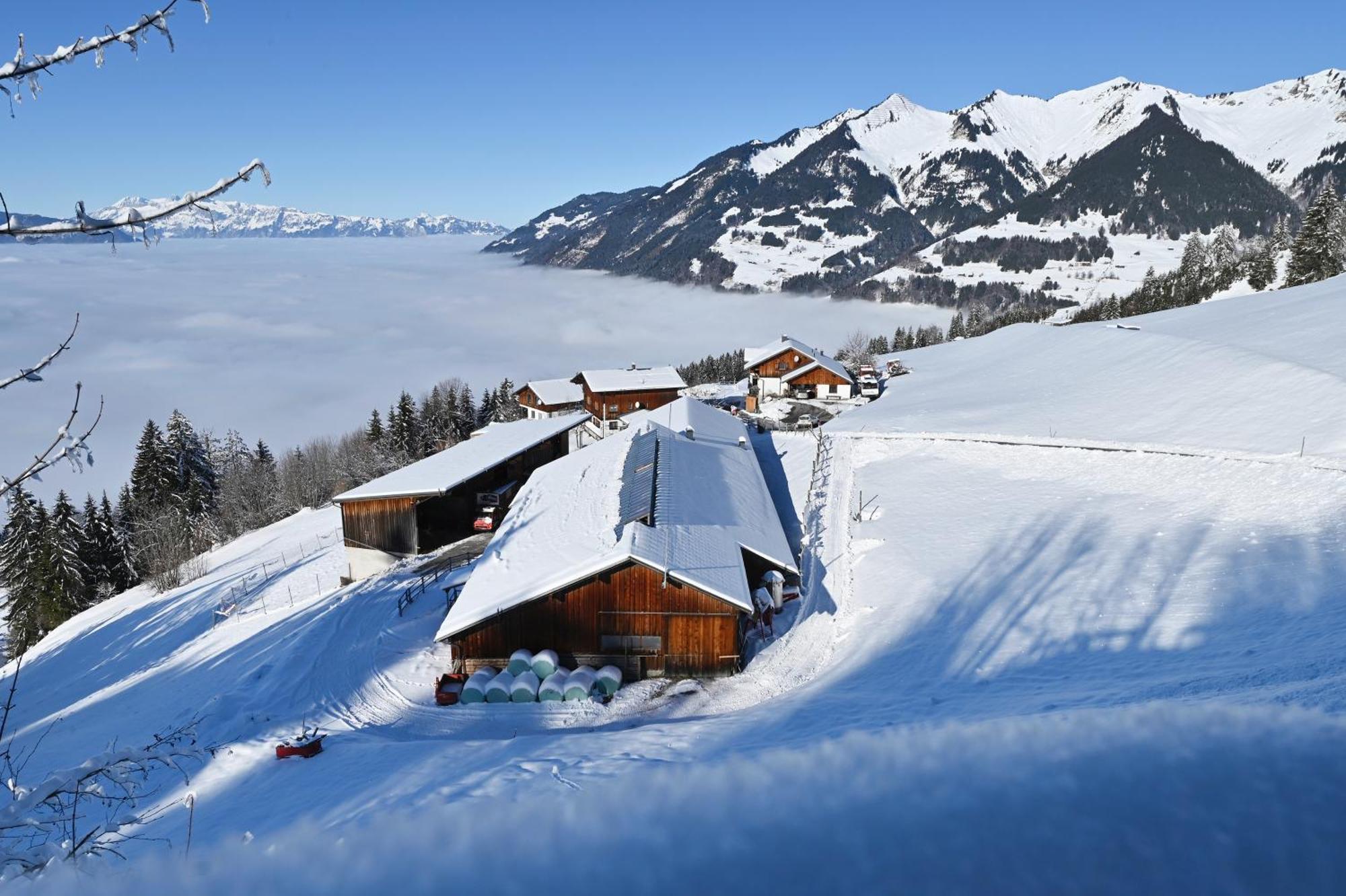 Berghof Burtscher Ludesch 外观 照片